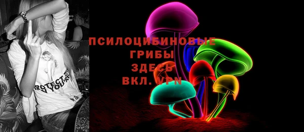стафф Кущёвская