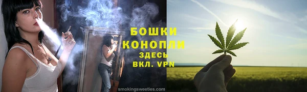 индика Ельня