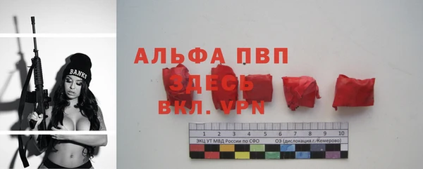 сатива Дмитриев
