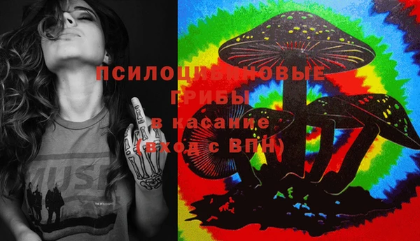 прущая мука Дмитров