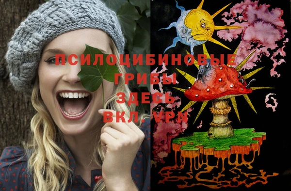 сатива Дмитриев